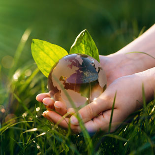 hand with a globe and tree leaves