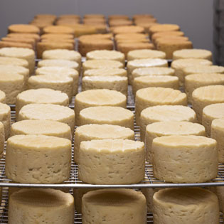 fromages sur une grille