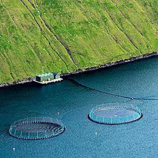 installation d''aquaculture