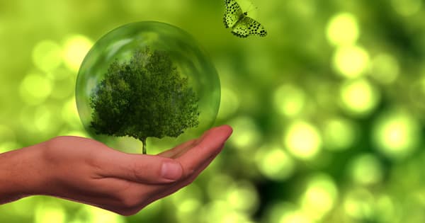 La greentech tricolore, possible valeur refuge des investisseurs