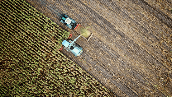 Récolte mécanisée dans un champ agricole - illustration du secteur alimentaire