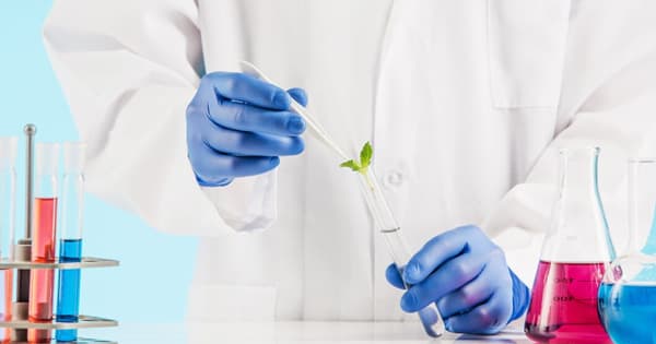 Bioplastiques et économie circulaire, quelle place face au recyclage ?